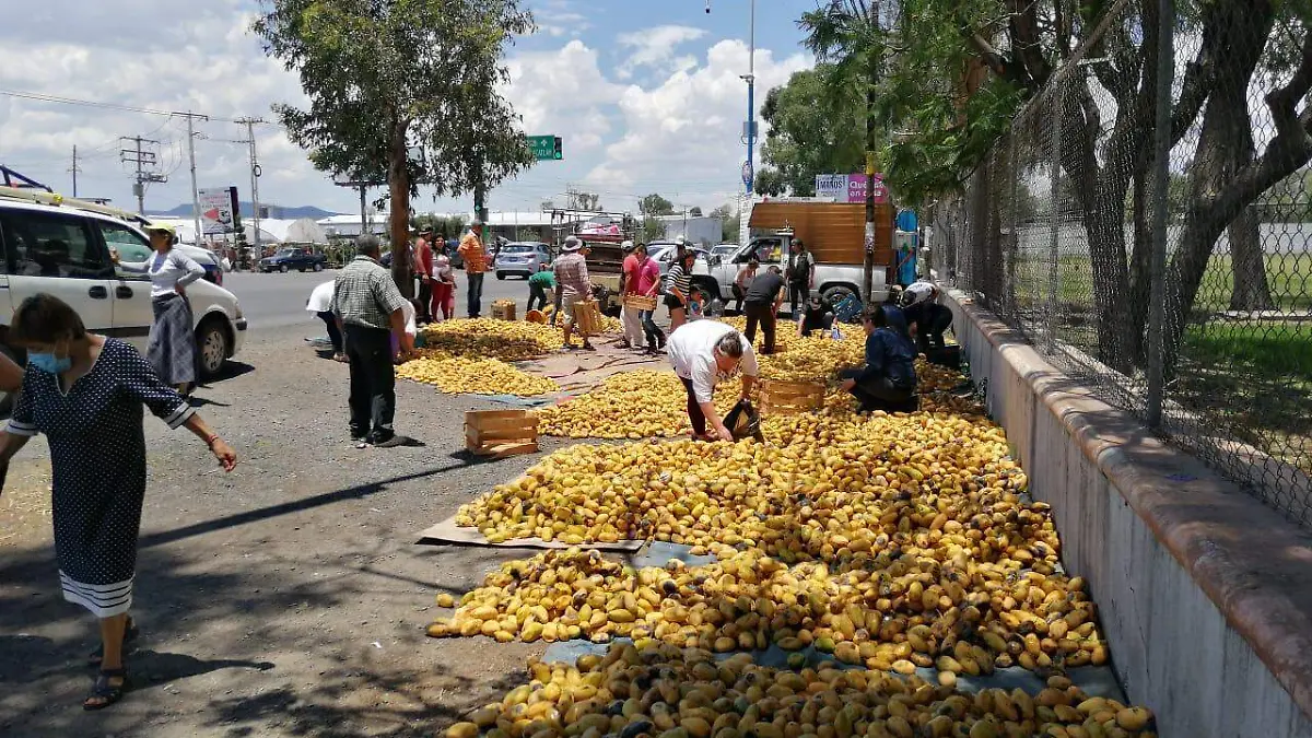 Para obtener ingresos, los “ferieros” venden mango a bajo costo.  Foto Pepe Salas  El Sol de San Juan del Río.